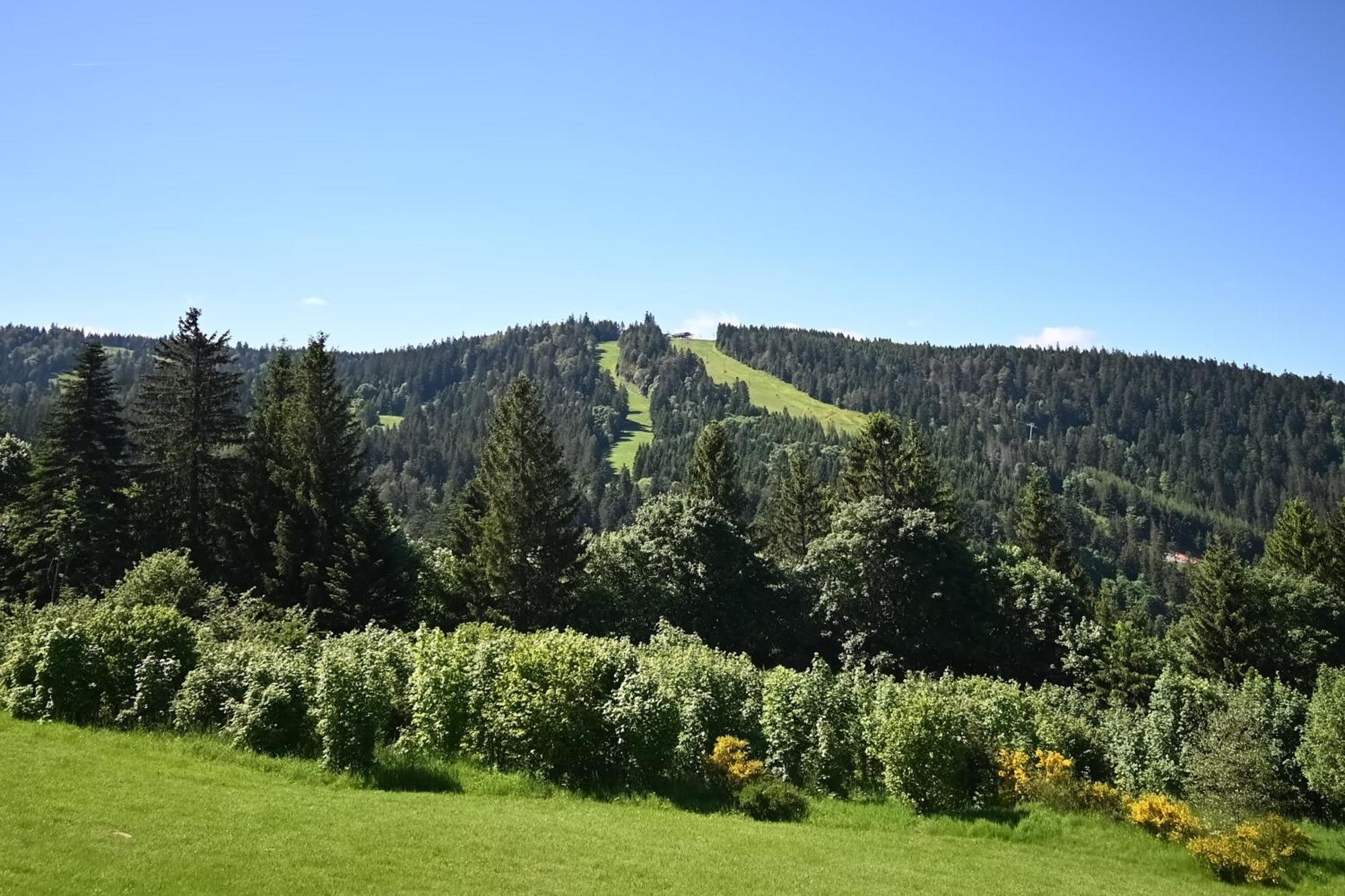 Le Nid Des Vosges - Appt Vue Montagne Διαμέρισμα Gérardmer Εξωτερικό φωτογραφία